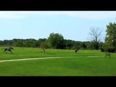 ประติมากรรมสำริด